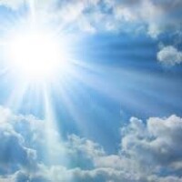 Серебровская-Мильори Елена