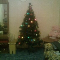 РПорлпиор парпрар