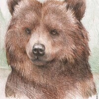 Волков Сергей