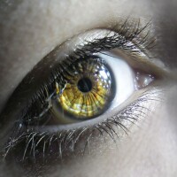 Доля Евгений