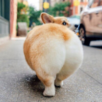 Сучкова Татьяна