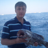 Осадчий Алексей