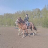 Коршунова Марина