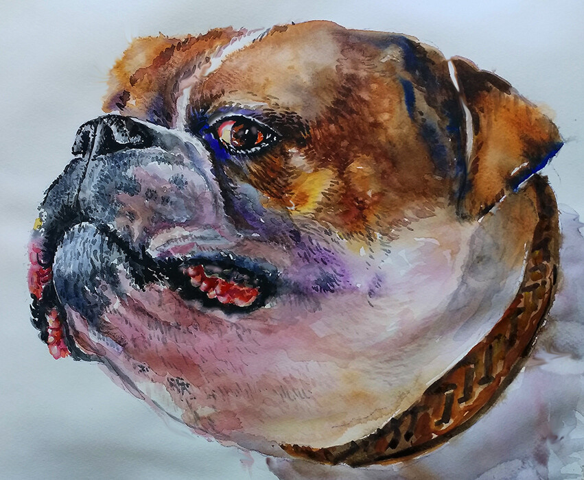 Толстый и сердитый