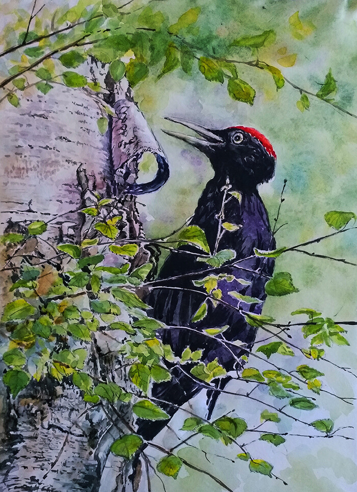 Санитар прилетел