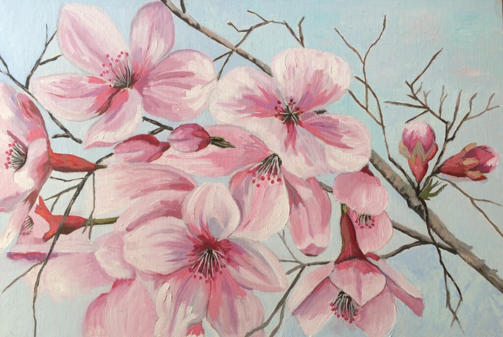 Цветущая вишня