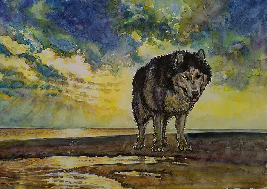 Одиночество