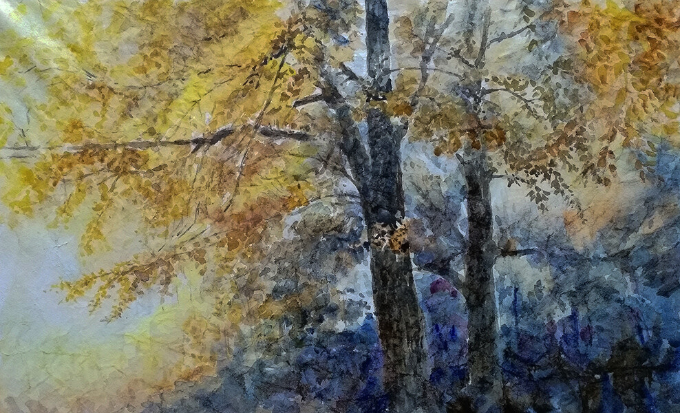 Осенние цвета