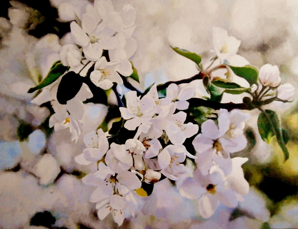 Ветка цветущей яблони