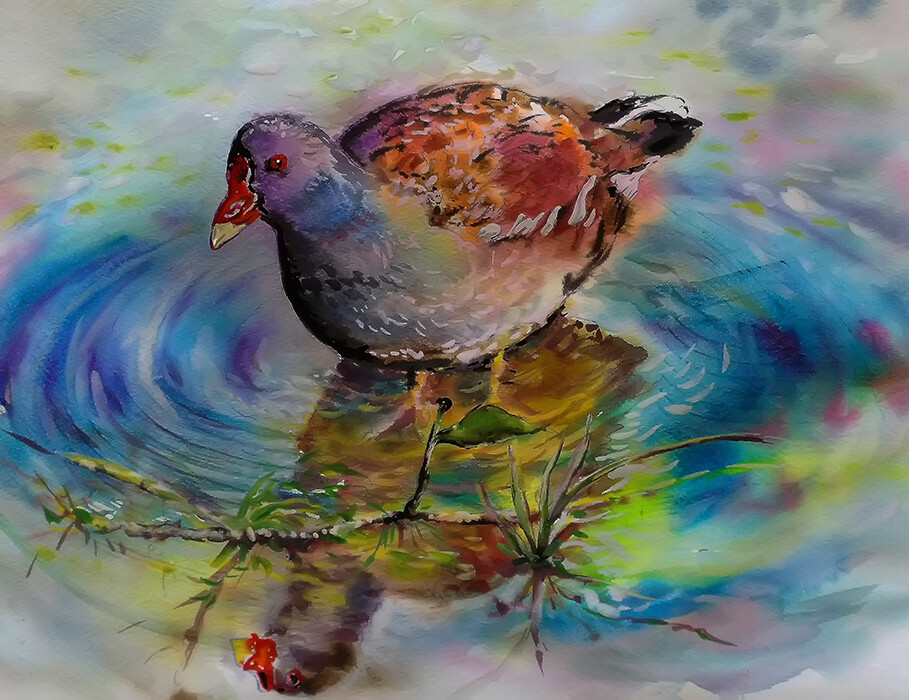 Птичка у воды