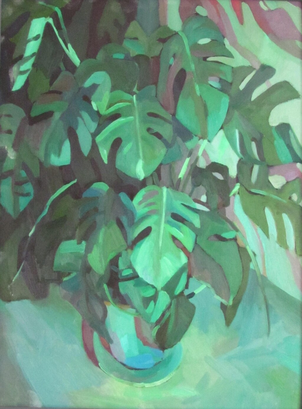 Монстера в горшке