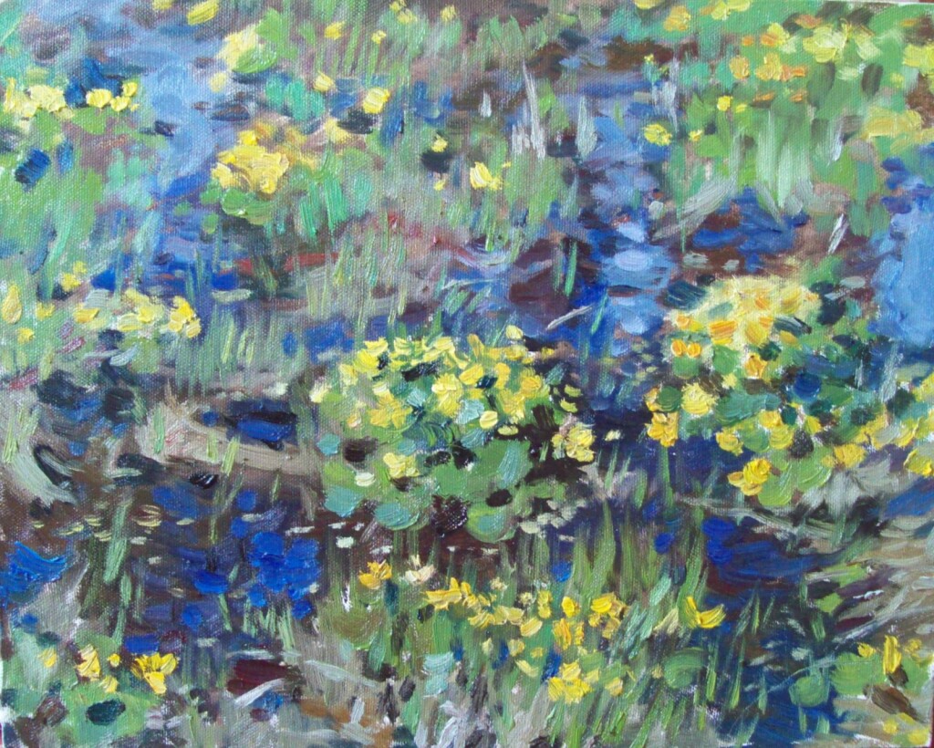 Желтые цветы.