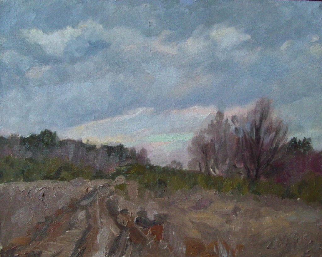 Пасмурный день