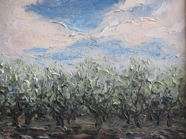 Оливковая роща после дождя.