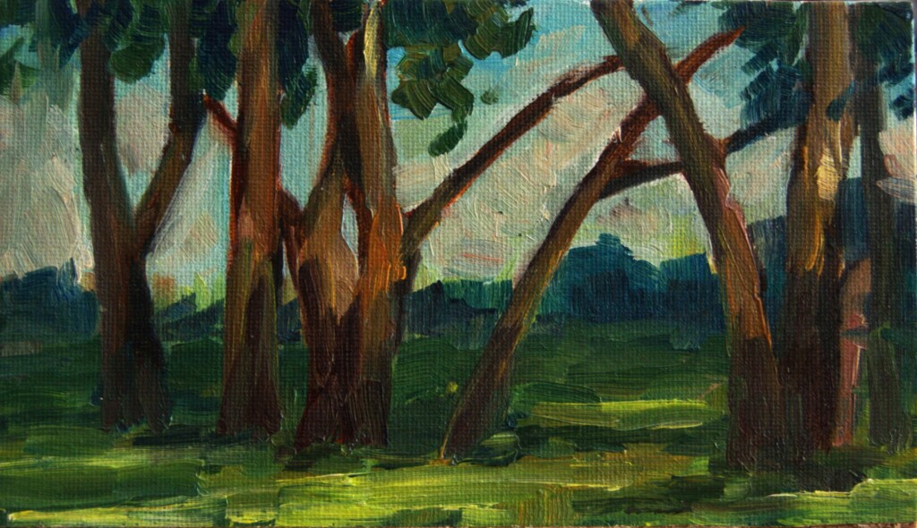 Деревья на солнце