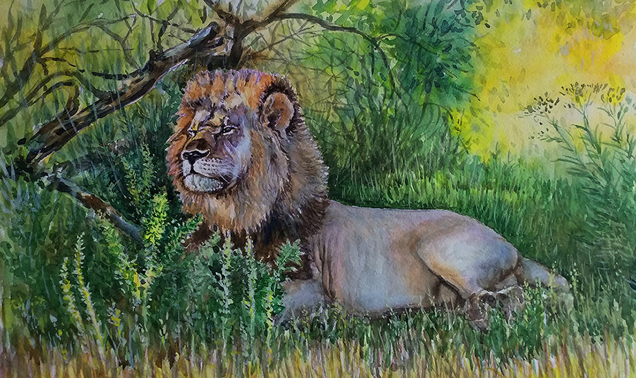 Отдых в тени