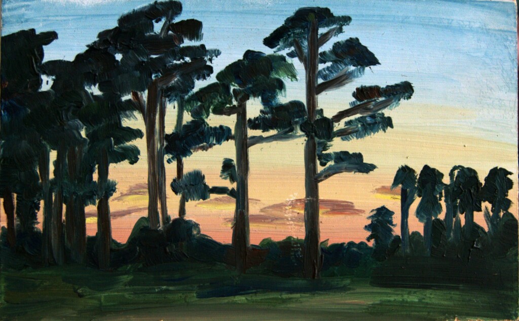 Летний  этюд.