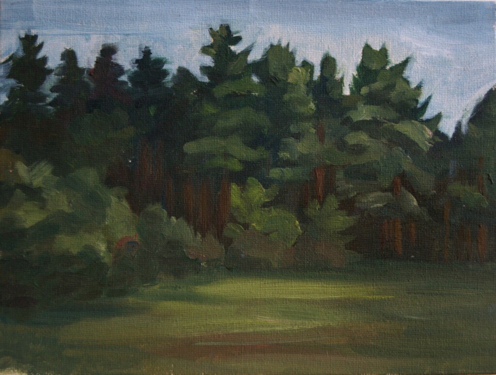 Полянка в лесу