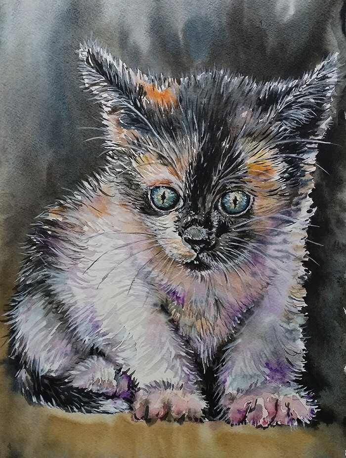 Гадкий котенок