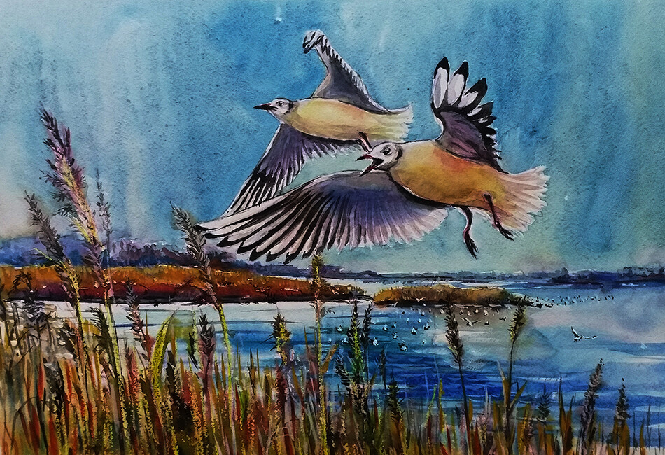 Птичий патруль