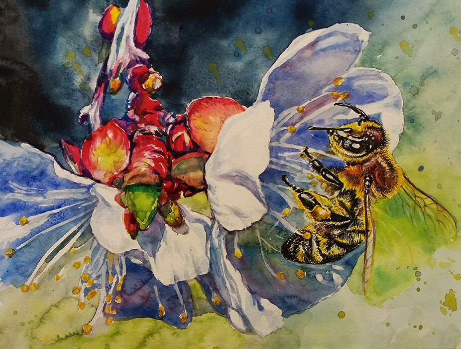 Утро начинается