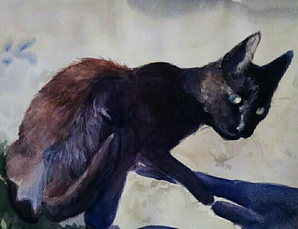 Кошачий портрет