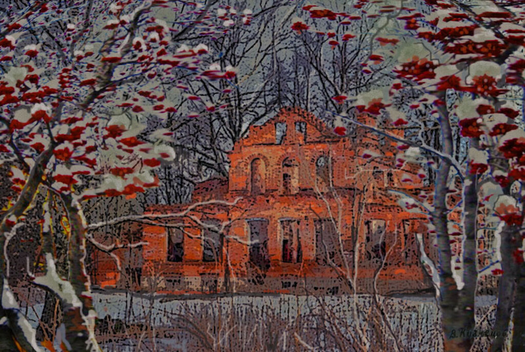 зимняя рябина