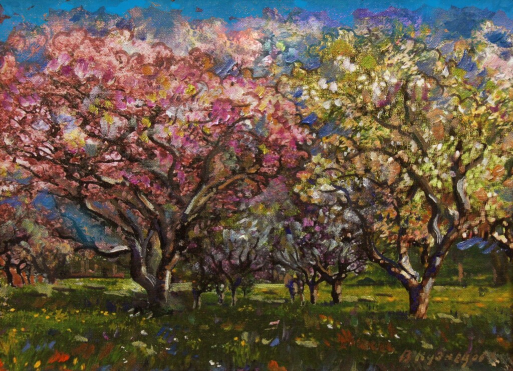 яблони в цвету