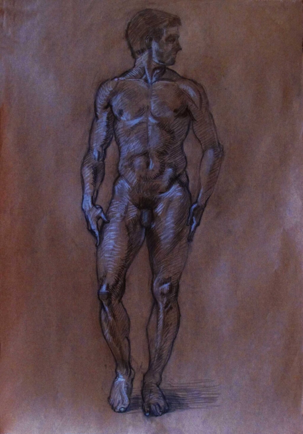Мужская обнаженная фигура