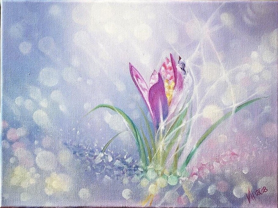 Крокус. Сияние