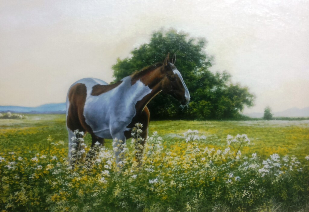 Утро на пастбище