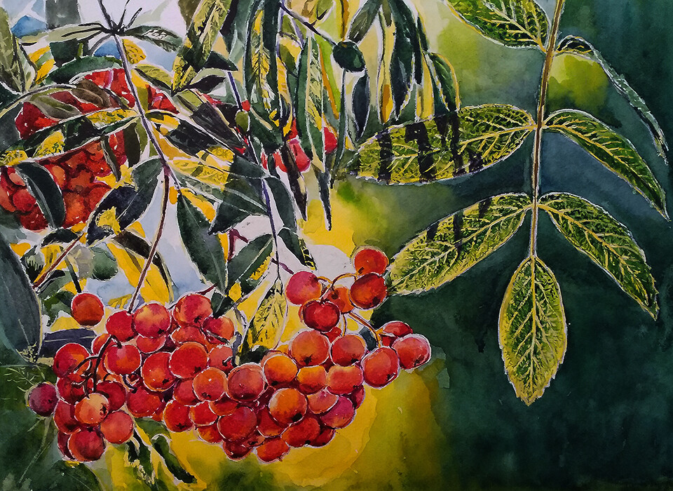 Солнышко в рябине