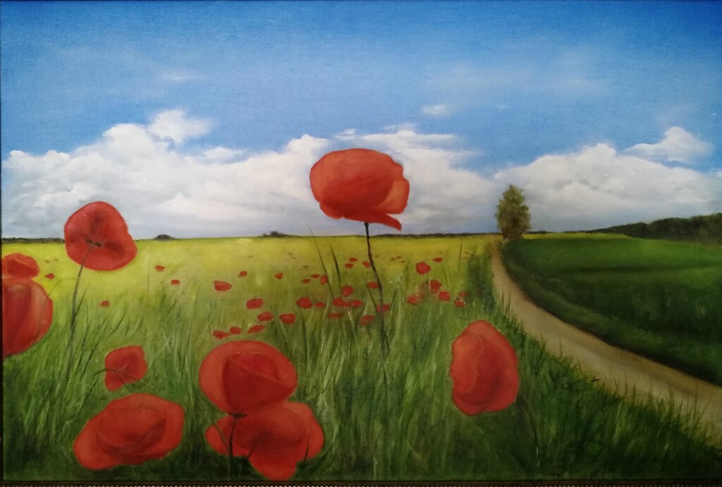 Маки в степи