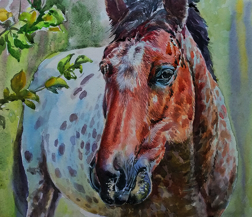 Встреча на опушке