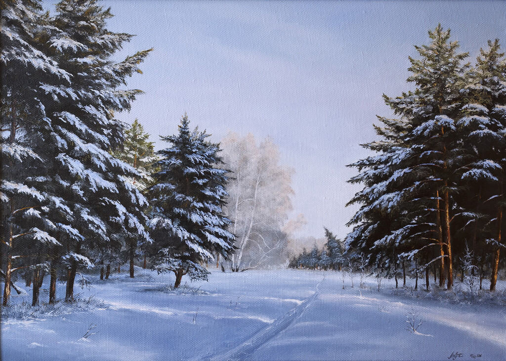 Перед закатом в зимнем лесу