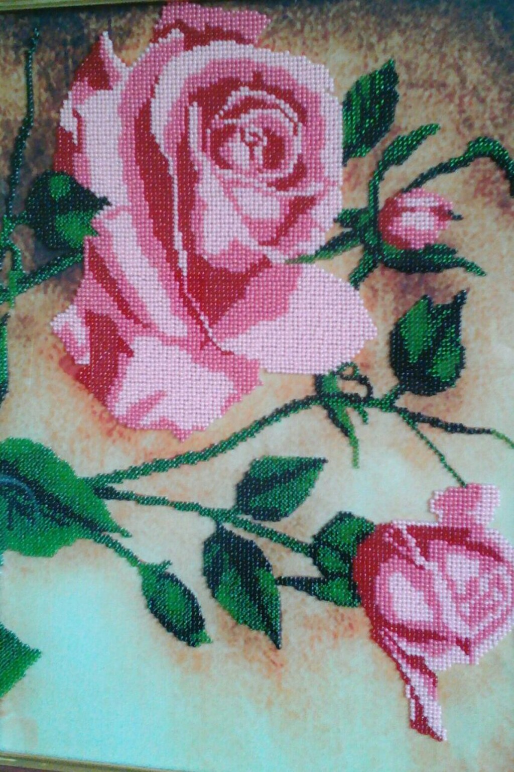 Розовые розы