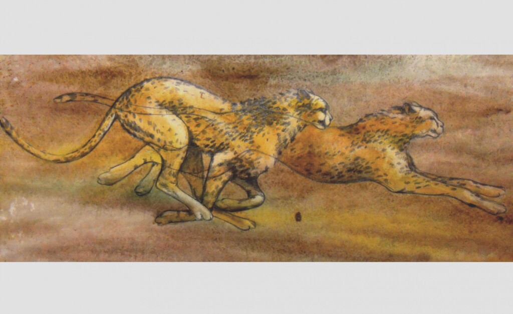 Бег гепарда