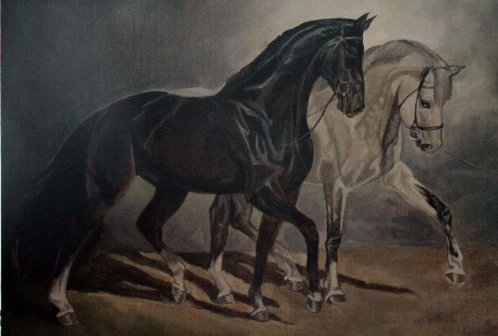 Чёрно-белая любовь