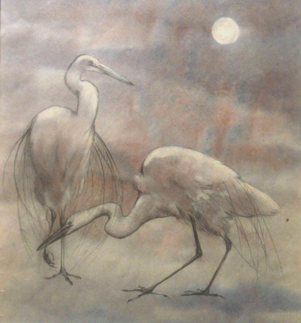 Танец белых птиц