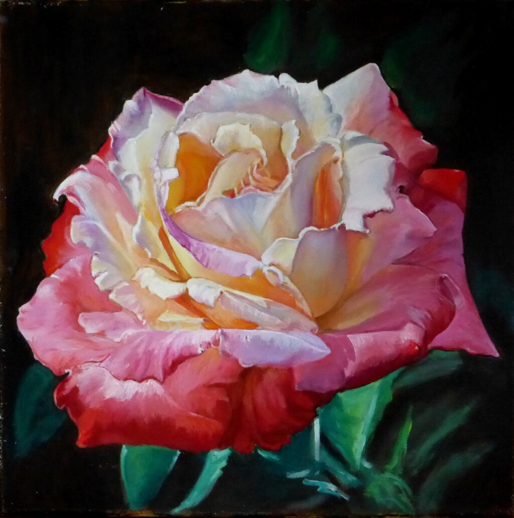 Королева роза.