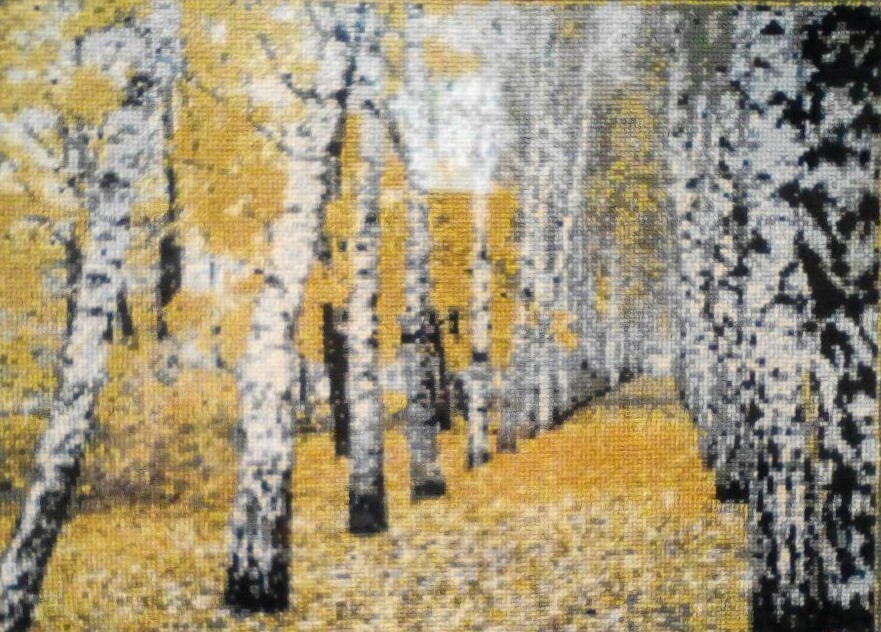 Берёзовая роща