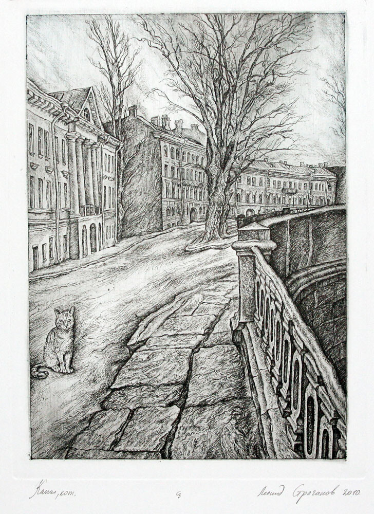 Кот на канале