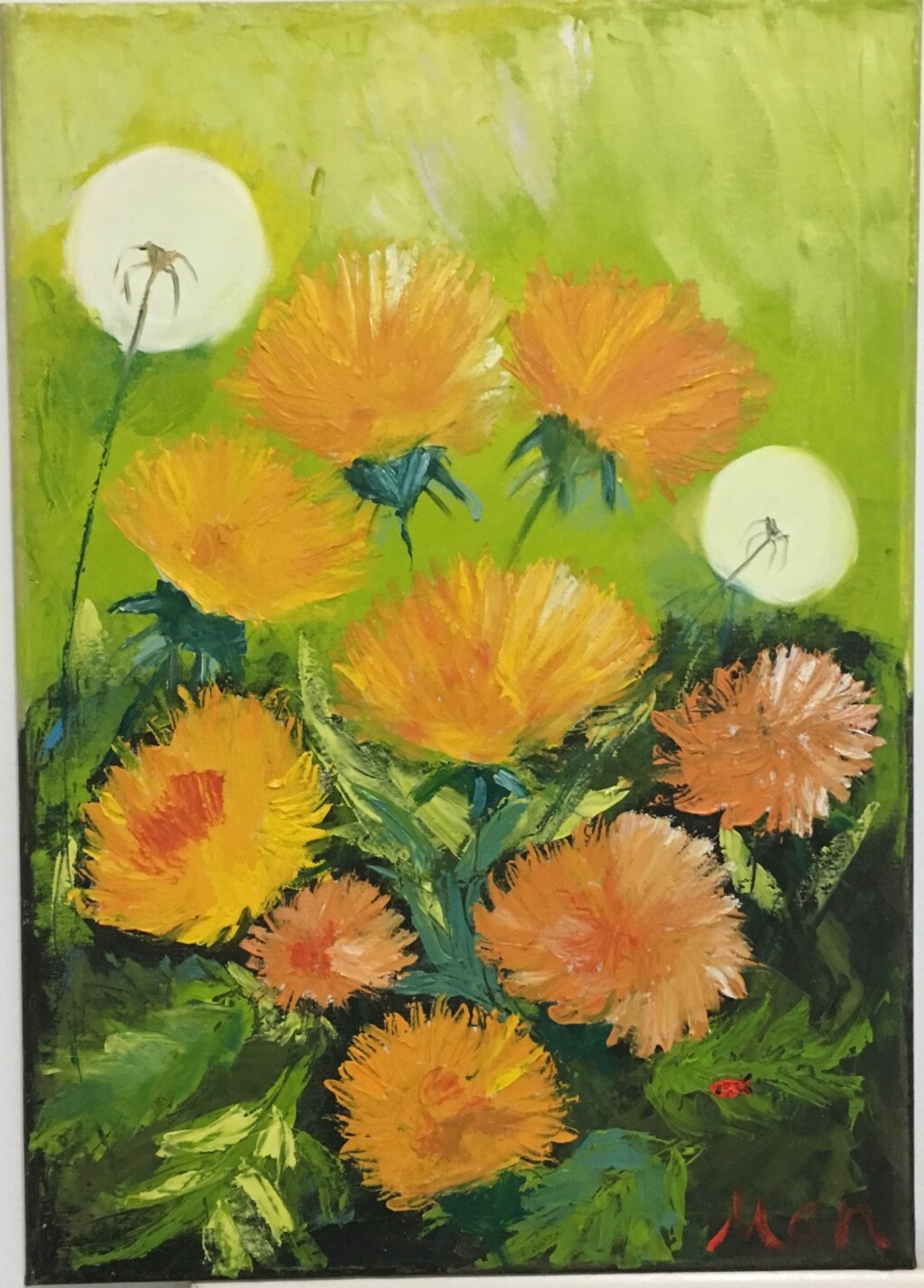 Одуванчики