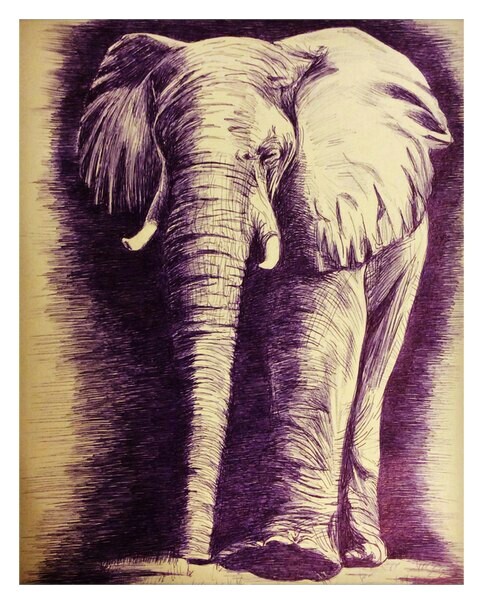 Мудрый слон