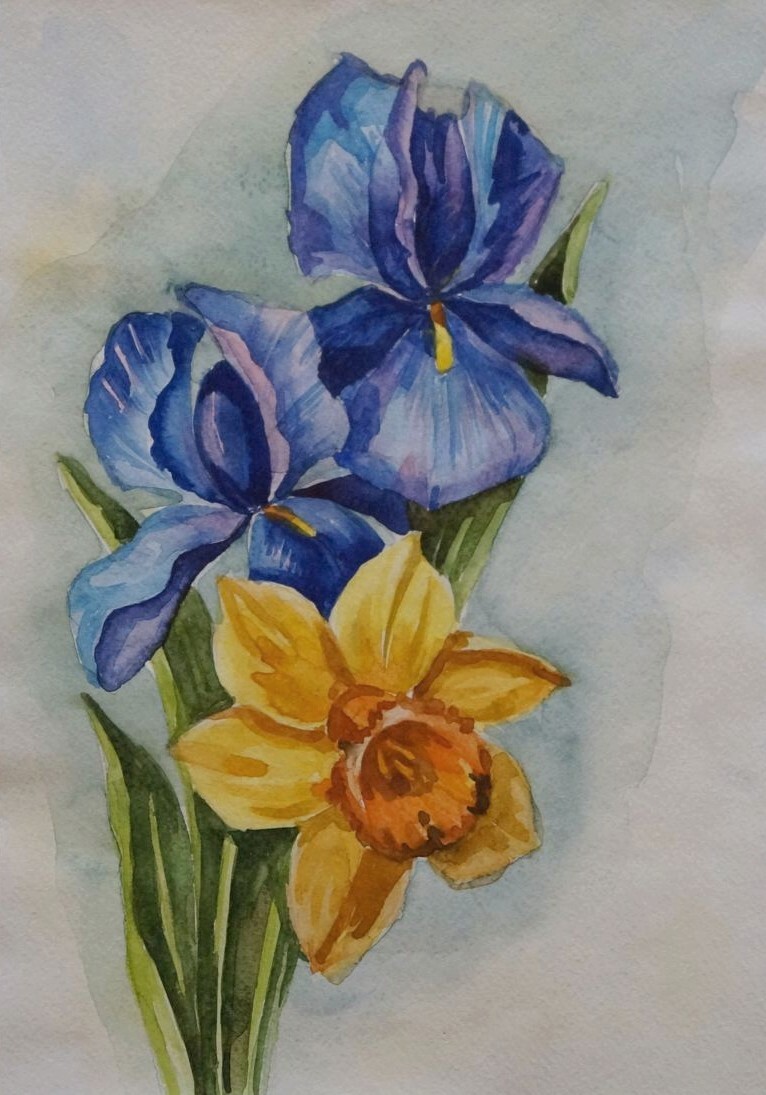 Ирисы