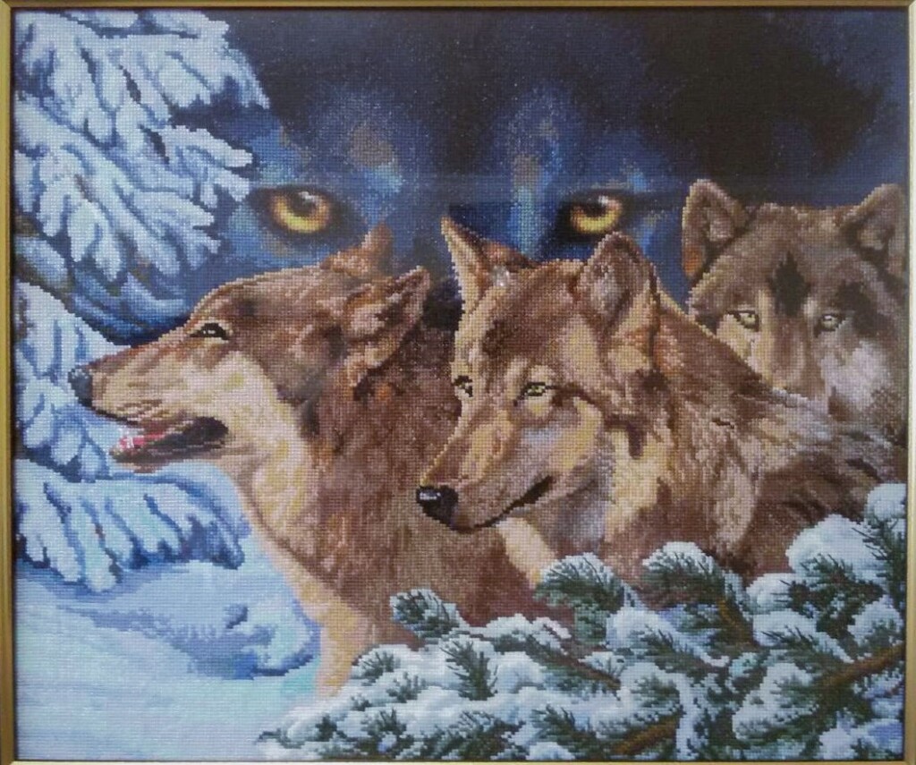 Волчий взгляд