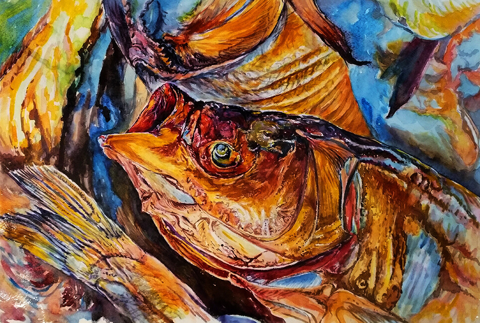 Этюд к пивку