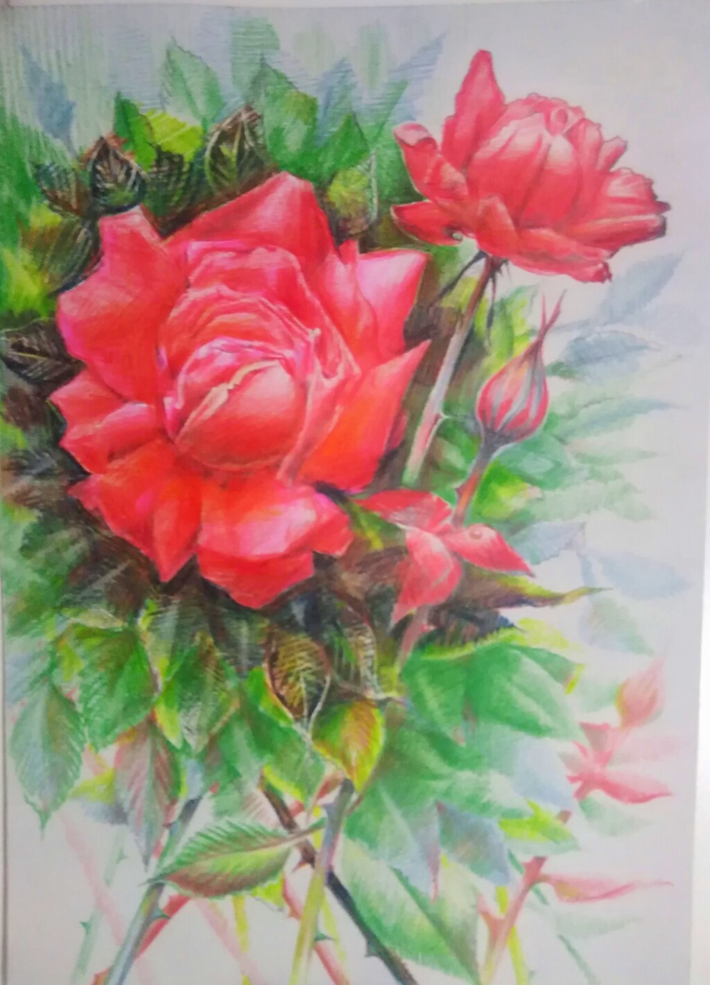 Красная роза