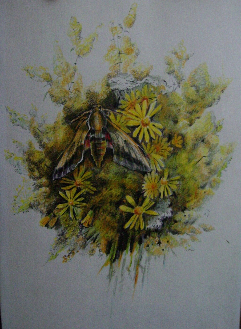 Летний букет