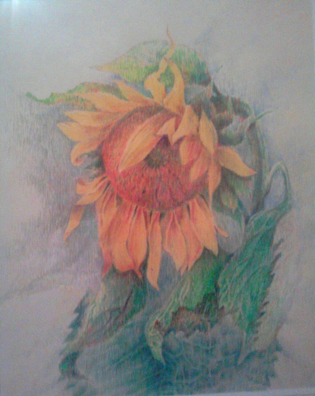 Летний ветер